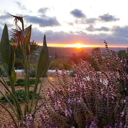 The Sun Hill 住宿加早餐酒店 3*