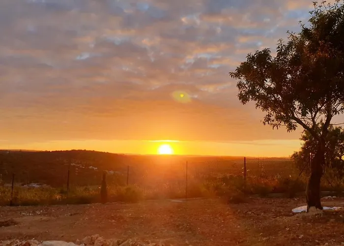 The Sun Hill Отель типа 